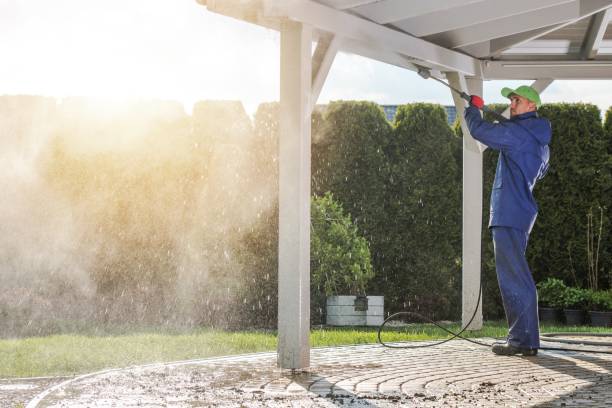 Best Graffiti Removal  in Wiggins, MS